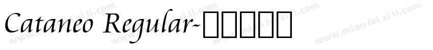 Cataneo Regular字体转换